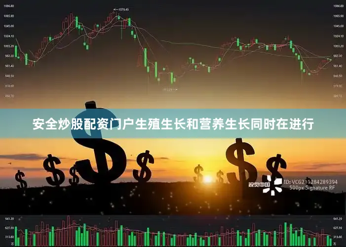 安全炒股配资门户生殖生长和营养生长同时在进行