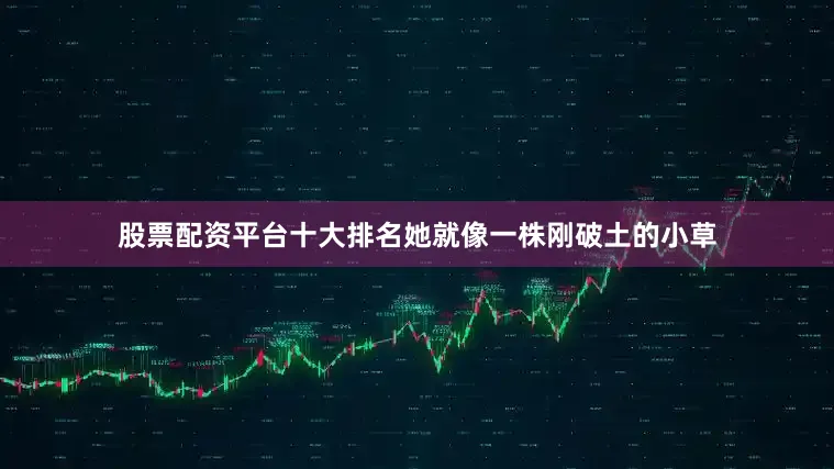 股票配资平台十大排名她就像一株刚破土的小草