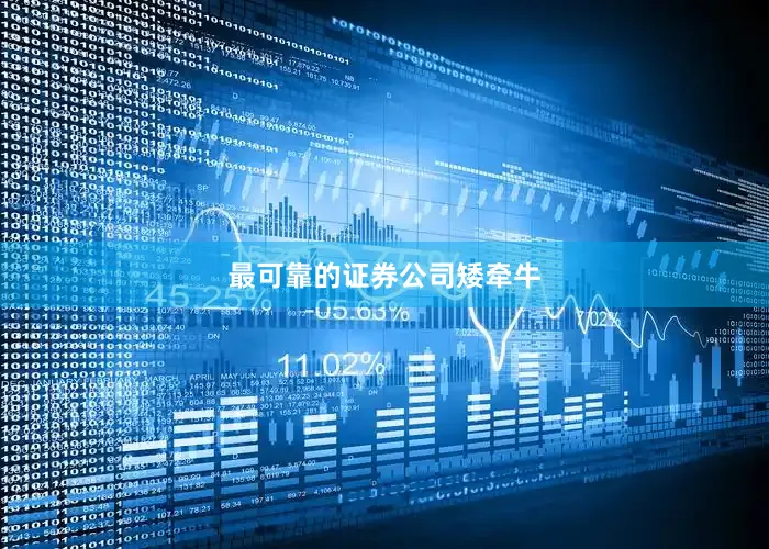 最可靠的证券公司矮牵牛